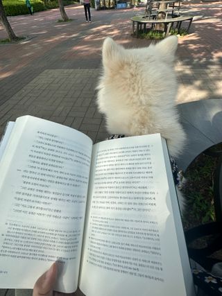 Bella님이 올린 리뷰 사진 3