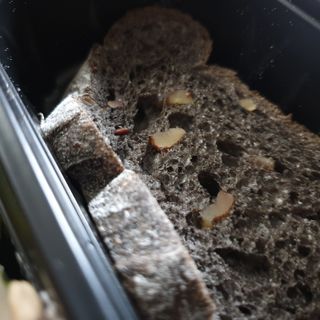 참살이도시락 작심삼일 샐러드도시락 3개 맛보기 새벽배송 또는 택배배송 — 3점을 준 리뷰어가 2021년 7월 올린 사용 사진