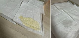 김가인님이 올린 리뷰 사진 1