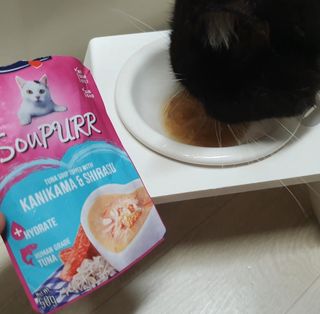 비타크래프트 고양이 수프 50g 3가지맛 x4팩씩 총 12팩 — 5점을 준 리뷰어가 2021년 8월 올린 사용 사진