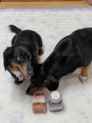 페페로니 진짜 오메가3 연어+소고기 180g+180g — 5점을 준 리뷰어가 2021년 7월 올린 사용 사진