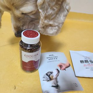 펫21 그로그로 에너지 강아지 고양이 반려동물 한방 영양제 비타민 종합 영양제 — 5점을 준 리뷰어가 2022년 1월 올린 사용 사진