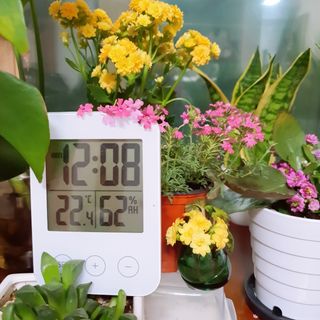 0.8L 마케팅팀 - — 5점을 준 리뷰어가 2021년 5월 올린 사용 사진