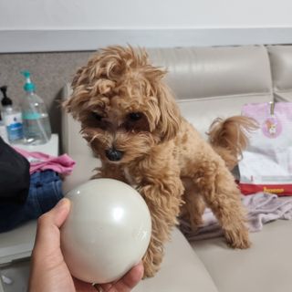 leah님이 올린 리뷰 사진 3