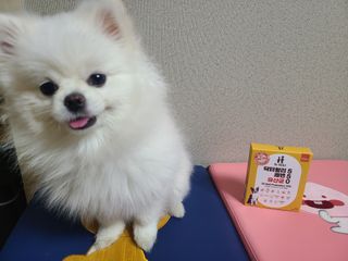 봉방스봉붕님이 올린 리뷰 사진 1
