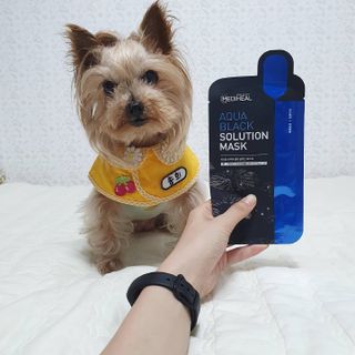 솜희님이 올린 리뷰 사진 2