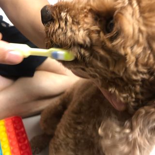 creed님이 올린 리뷰 사진 3