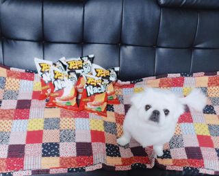 페키아름님이 올린 리뷰 사진 3