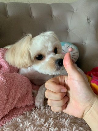 이주현님이 올린 리뷰 사진 2