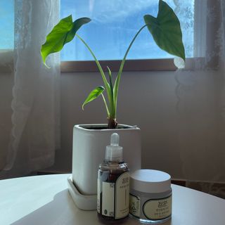 짱이님이 올린 리뷰 사진 2