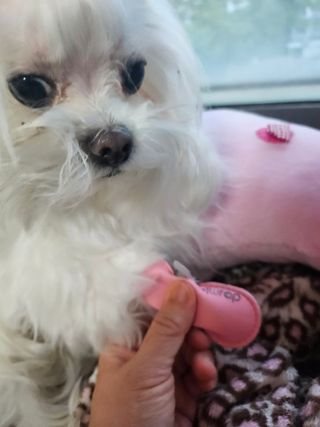 cherishlim님이 올린 리뷰 사진 2