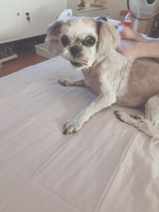 딘두님이 올린 리뷰 사진 3