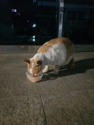 냥냥짱님이 올린 리뷰 사진 1
