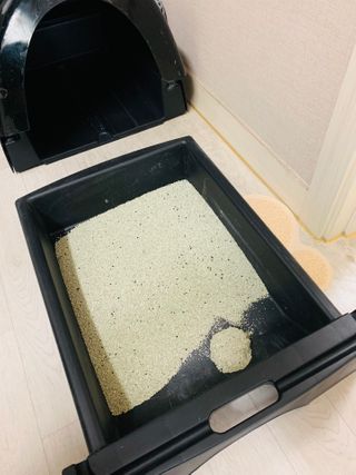 정원님이 올린 리뷰 사진 1
