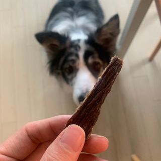 [졸리졸리] 말고기 육포 간식 (HORSE MEAT JERKY) — 5점을 준 리뷰어가 2023년 1월 올린 사용 사진