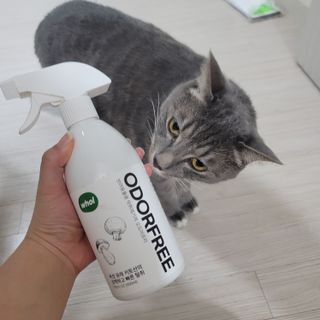 이째님이 올린 리뷰 사진 2