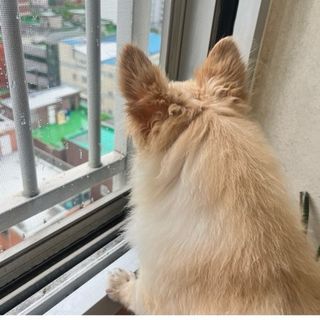 Lucy님이 올린 리뷰 사진 1