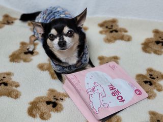 My Pet Care 천연단백질 관절건강에 개좋아 — 5점을 준 리뷰어가 2021년 1월 올린 사용 사진