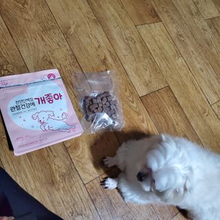 My Pet Care 천연단백질 관절건강에 개좋아 — 5점을 준 리뷰어가 2020년 12월 올린 사용 사진