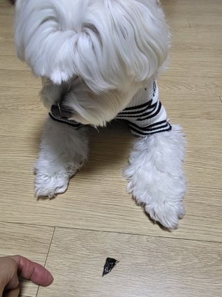 제니스트래블고근배대표님이 올린 리뷰 사진 2