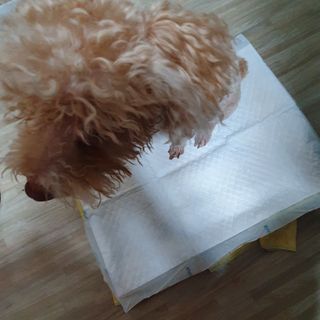 아코맘님이 올린 리뷰 사진 1