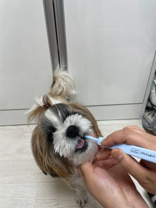 라라통통님이 올린 리뷰 사진 2