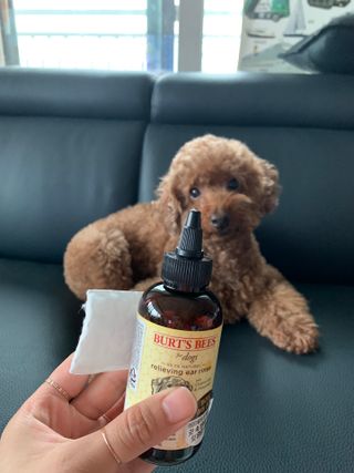 투밍님이 올린 리뷰 사진 3