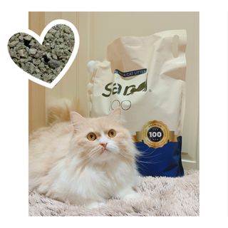 똥비님이 올린 리뷰 사진 1
