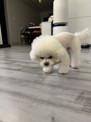 큐티윤님이 올린 리뷰 사진 4