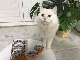 fively님이 올린 리뷰 사진 2
