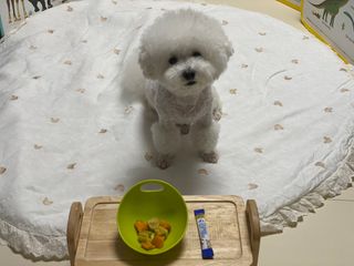 씨디랩 구강에서 장까지 한 번에 관리하는 더블락토 강아지 고양이 유산균 — 5점을 준 리뷰어가 2021년 6월 올린 사용 사진