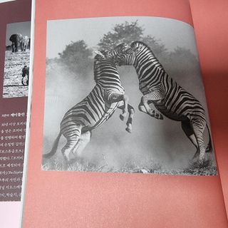파비올라님이 올린 리뷰 사진 2