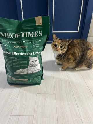 설탕칸쵸님이 올린 리뷰 사진 2