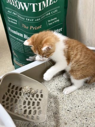 강우영님이 올린 리뷰 사진 3