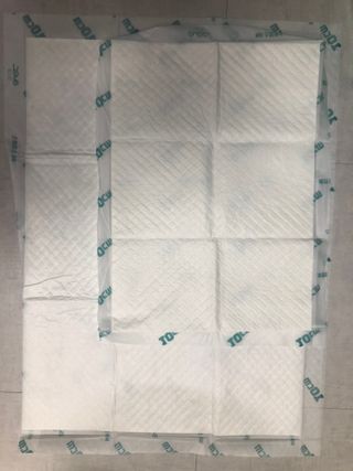 아베크 펫 와이드 프리미엄 대형 애견 강아지 배변 패드 30매 1팩 80g — 5점을 준 리뷰어가 2021년 7월 올린 사용 사진