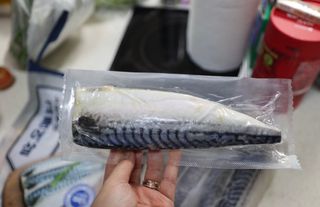 ㈜금호통상 노르웨이 고등어 900g (6~10편) — 5점을 준 리뷰어가 2023년 7월 올린 사용 사진