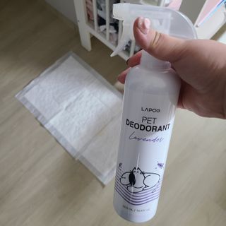 제이님이 올린 리뷰 사진 3