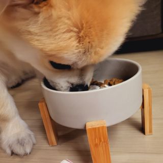 좋아님이 올린 리뷰 사진 4