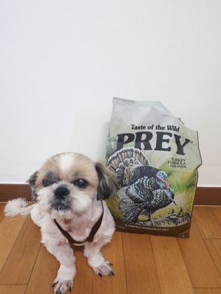 민우다빈이맘님이 올린 리뷰 사진 1