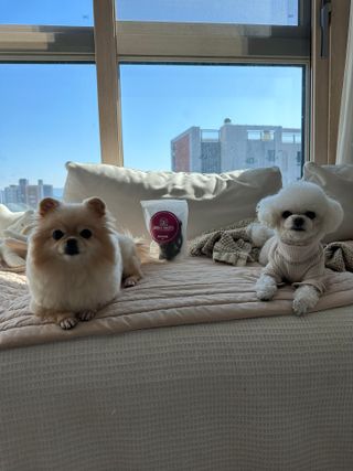 갓수진님이 올린 리뷰 사진 4