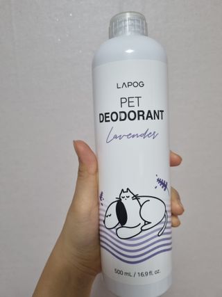 노지혜님이 올린 리뷰 사진 2