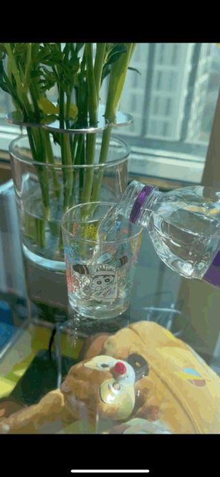 몽베스트 [MONTBEST] 330mL 20병 — 5점을 준 리뷰어가 2023년 4월 올린 사용 사진