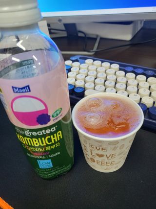 더그레잇티 콤부차 [매일유업] 더그레잇티 44kcal 콤부차 300ml *12개입 (오리지널 6개+베리리치 6개) — 5점을 준 리뷰어가 2023년 8월 올린 사용 사진