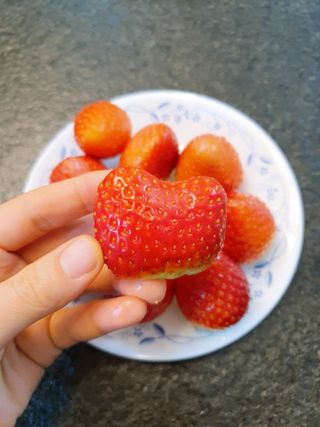 옳음 딸기 논산 설향 딸기 900g 산지직송 — 5점을 준 리뷰어가 2021년 1월 올린 사용 사진