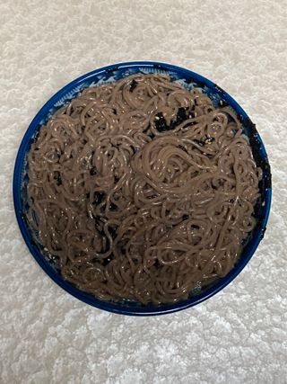 민트초코님이 올린 리뷰 사진 4