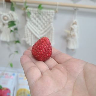 soo1127님이 올린 리뷰 사진 4