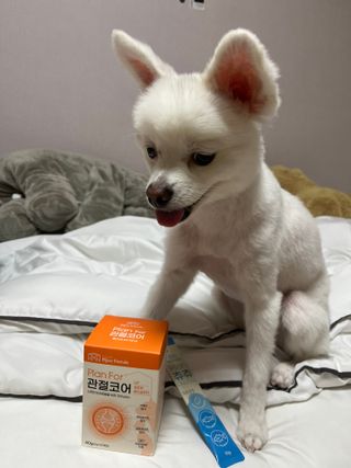 콩이예요님이 올린 리뷰 사진 2