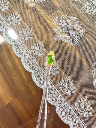 프리마인 유해균 뿐만 아니라 유익균까지 씻어내는 치약은 그만, 건강한 구강환경을 만드는 덴탈엔오 — 5점을 준 리뷰어가 2023년 3월 올린 사용 사진