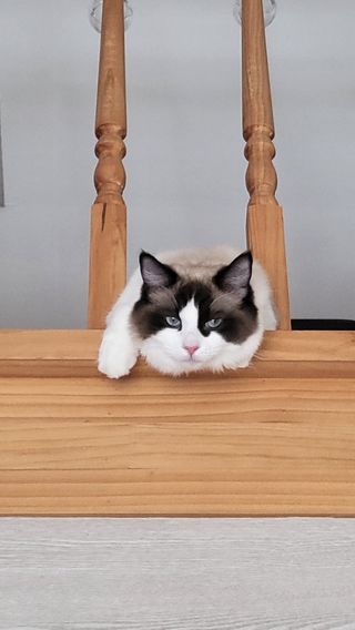 모나미님이 올린 리뷰 사진 2