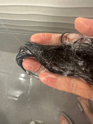 닥터시드 페퍼민트 앤 레몬 비건 비듬케어 쿨 탈모 샴푸 (1000ml) — 5점을 준 리뷰어가 2024년 2월 올린 사용 사진